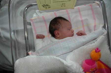  ma nouvele cousine la crevette